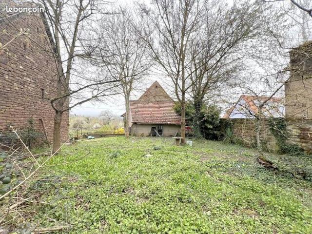 Maison vente à Molsheim, Heiligenberg