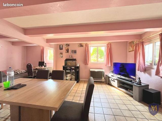 Maison vente à Mulhouse, Blotzheim