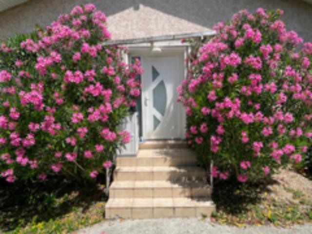 Maison vente à Lotissement Les Weigelias, Heyrieux