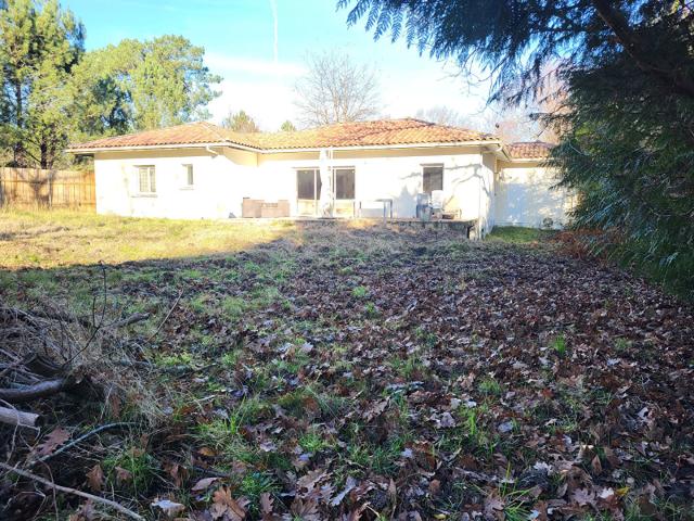 Maison vente à France métropolitaine, Sanguinet