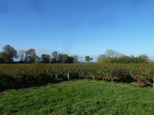 Maison vente à Bordeaux, Macau