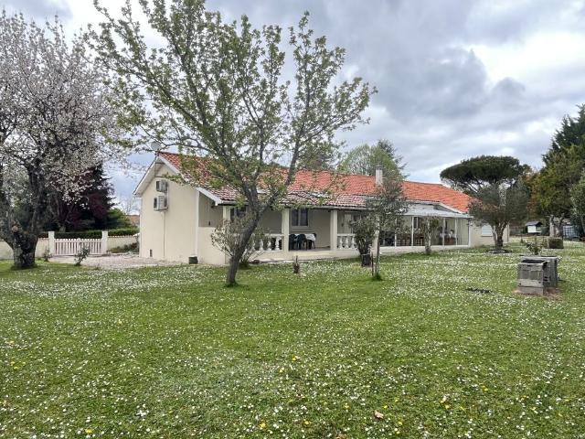 Maison vente à Cognac, Louzac-saint-andré