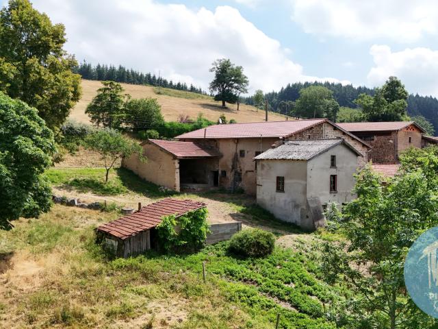 Maison vente à Roanne, Violay