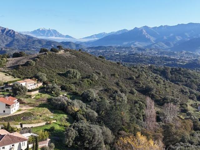Maison vente à Ajaccio, Afa