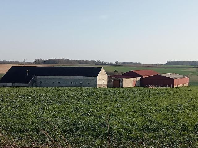 Maison vente à Épernay, Montmirail