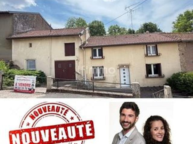 Maison vente à Sarrebourg-Château-Salins, Riche