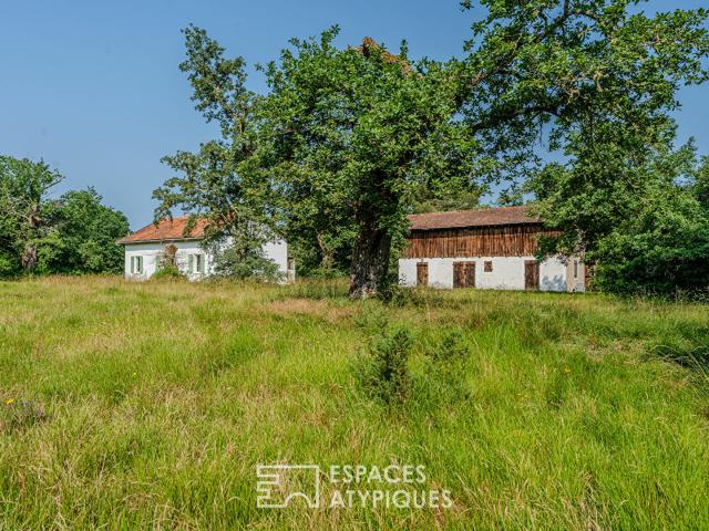 Maison vente à Sabres, Landes