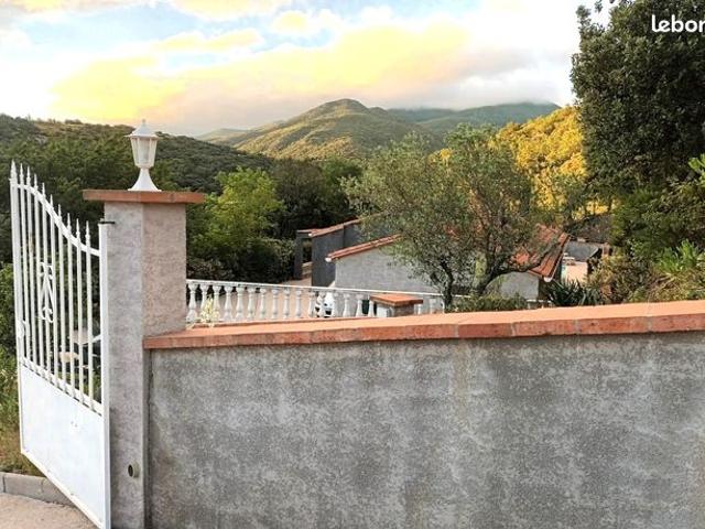 Maison vente à Céret, Reynès