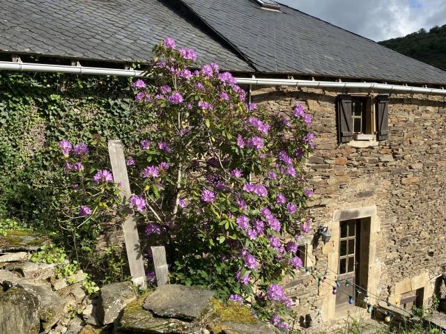 Maison vente à Millau, Brousse-le-château