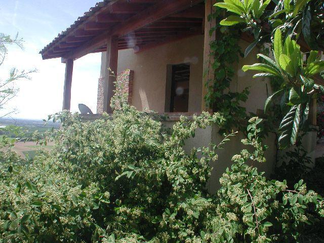 Maison location à Montauban, Piquecos