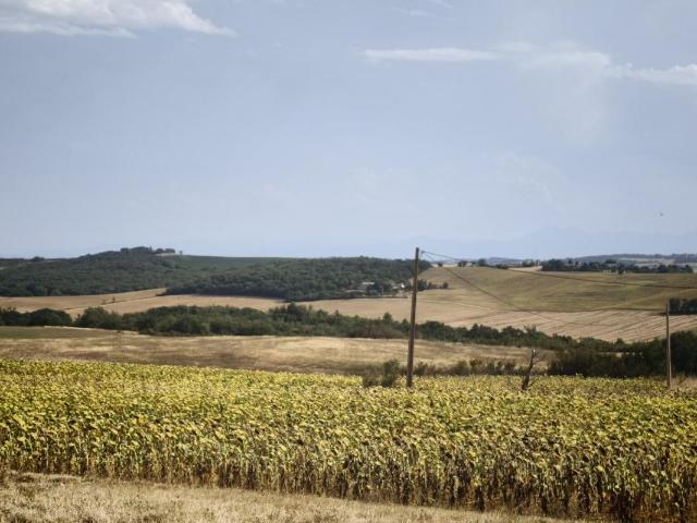 Maison location à Toulouse, Avignonet-lauragais