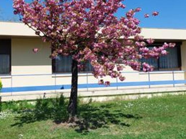 Maison vente à Ambarès-et-lagrave