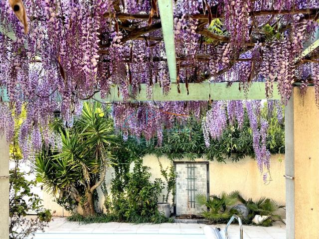 Maison vente à Montpellier, La Grande-motte