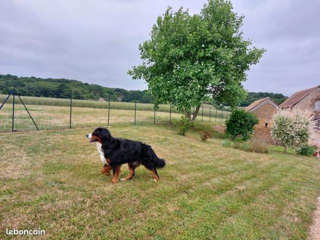 Maison vente à Yvré-l'evêque, Sarthe