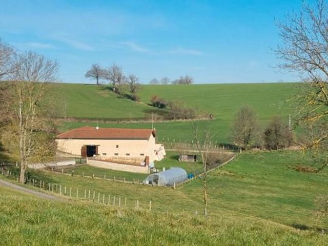Maison vente à Montbrison, Chazelles-sur-lyon