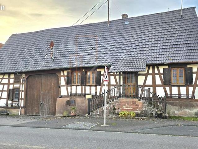 Maison vente à Haguenau-Wissembourg, Wintzenbach