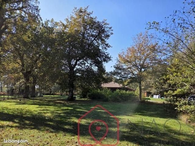 Maison vente à Labouheyre, Landes
