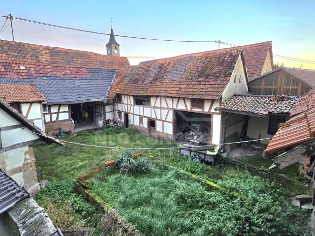 Maison vente à Haguenau-Wissembourg, Wintzenbach