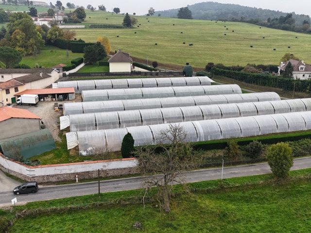 Maison vente à Montbrison, Chamboeuf