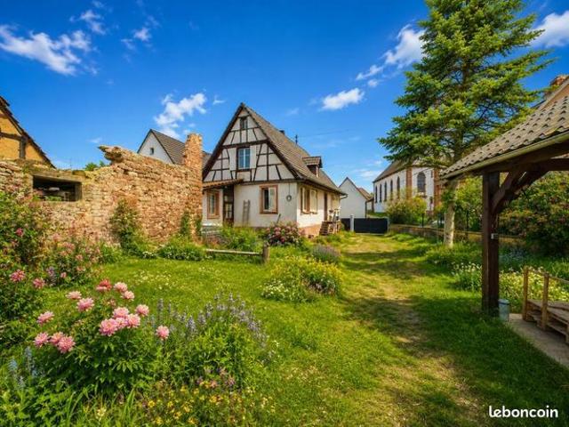Maison vente à Haguenau-Wissembourg, Gumbrechtshoffen