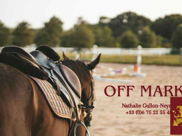 Maison vente à France métropolitaine, Péron