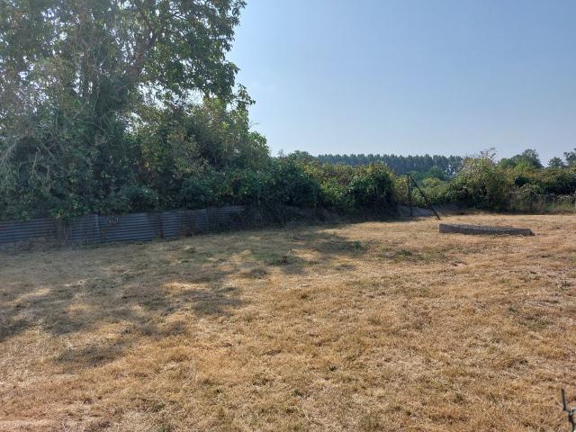 Maison vente à France métropolitaine, Savigné-l'evêque