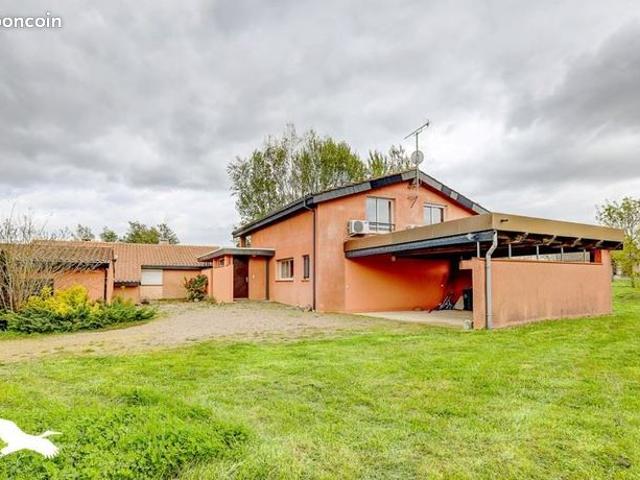 Maison vente à Albi, Rabastens