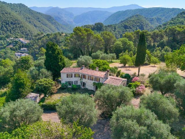 Maison vente à Nice, Drap