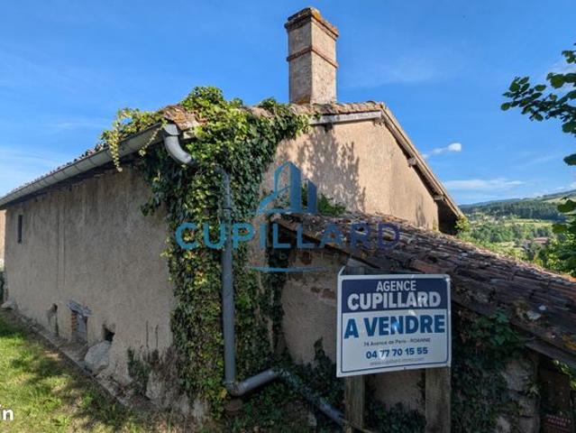 Maison vente à Roanne, Renaison
