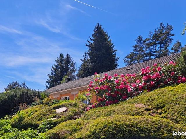 Maison vente à Yssingeaux, Chenereilles