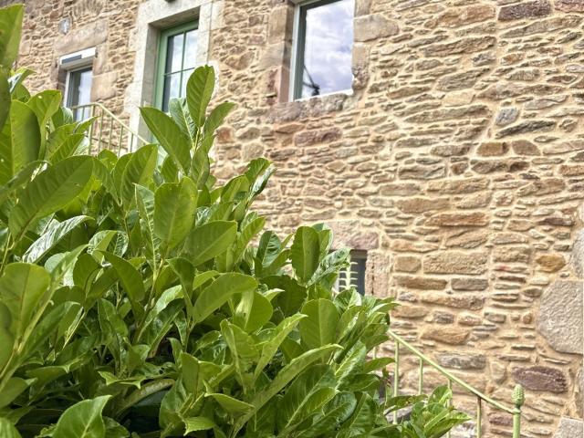 Maison location à Villefranche-de-Rouergue, Baraqueville