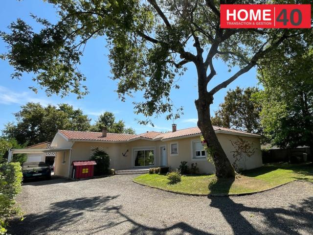 Maison vente à France métropolitaine, Sanguinet
