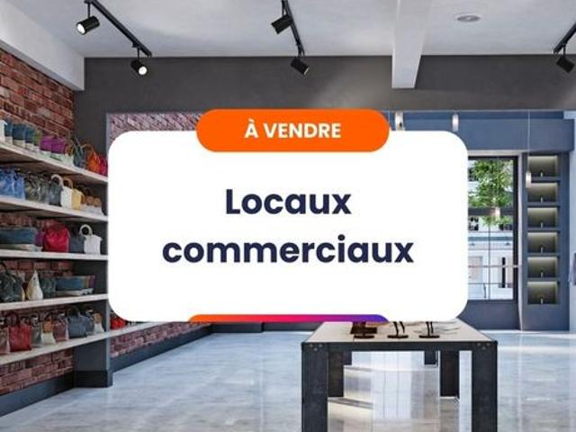 Maison vente à Lille, Hem