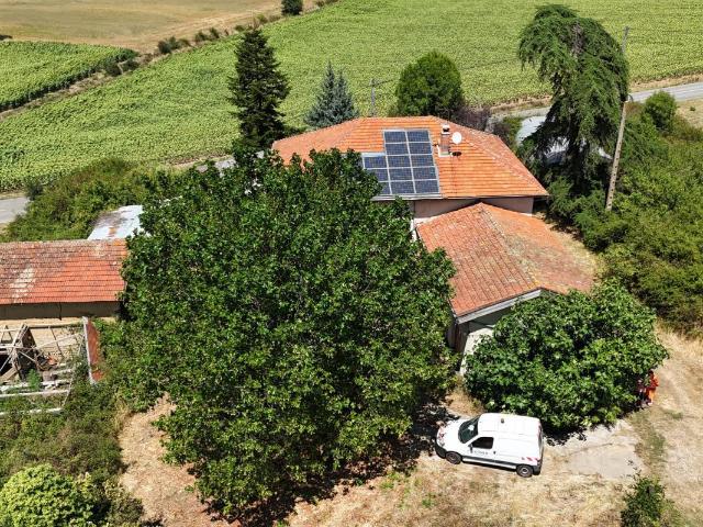 Maison vente à Vienne, Primarette
