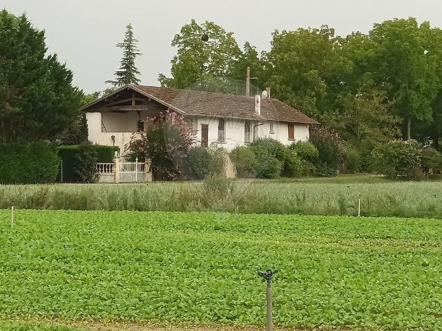 Maison vente à Le Moulin, Saint-Georges-de-Reneins