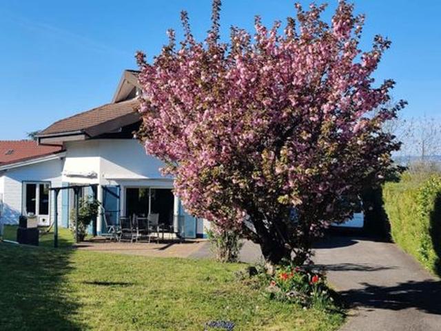 Maison vente à Thonon-les-Bains, Neuvecelle