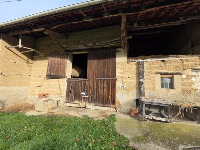 Maison vente à Vienne, Culin