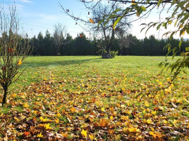 Maison vente à France métropolitaine, Chadenac