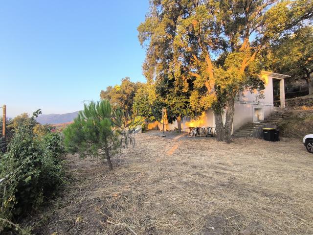 Maison vente à Bastia
