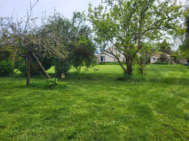 Maison vente à France métropolitaine, Bois