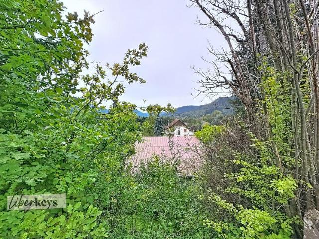 Maison vente à France métropolitaine, Saint-dié