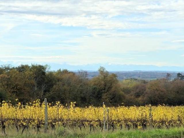 Maison vente à Panjas, Gers