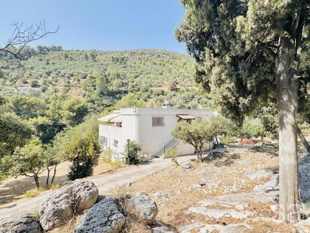 Maison vente à Nice, La Turbie