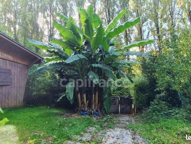 Maison vente à Torcy, Chalifert