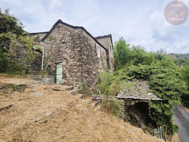 Maison vente à Florac, Saint-julien-d'arpaon