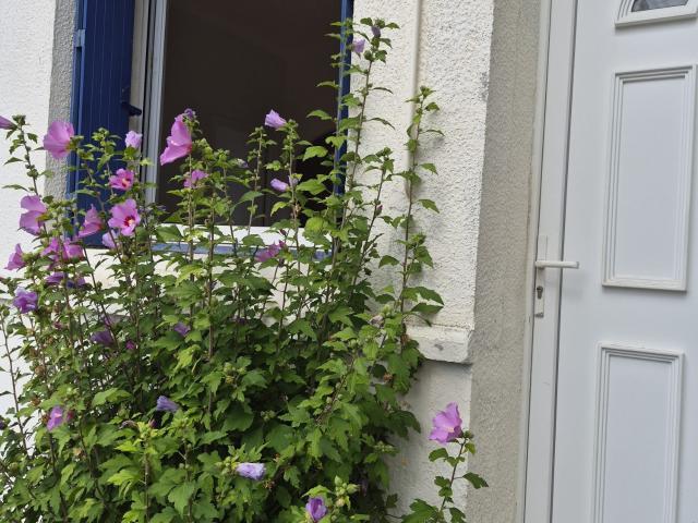 Maison vente à La Rochelle