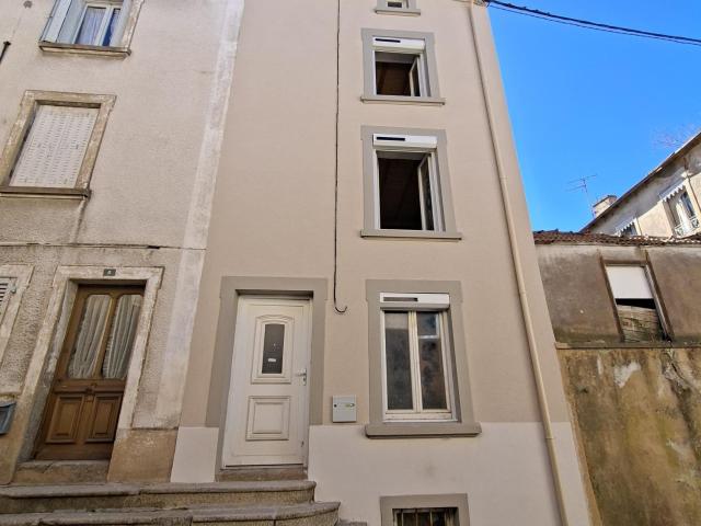 Maison vente à Panissières, Loire