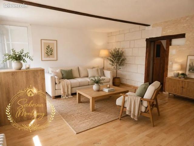 Maison vente à Tours, Villaines-les-rochers