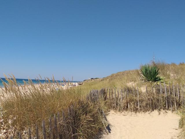 Maison vente à La Rochelle, Le Bois-plage-en-ré