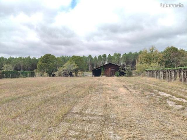 Maison vente à Carcen-Ponson, Landes